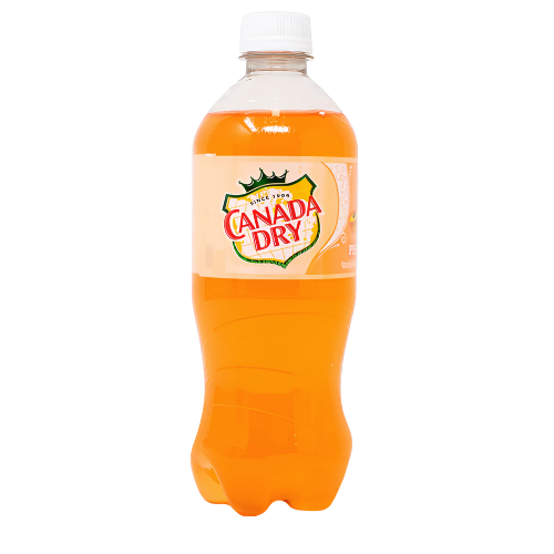 CANADA DRY PÊCHE 591mL