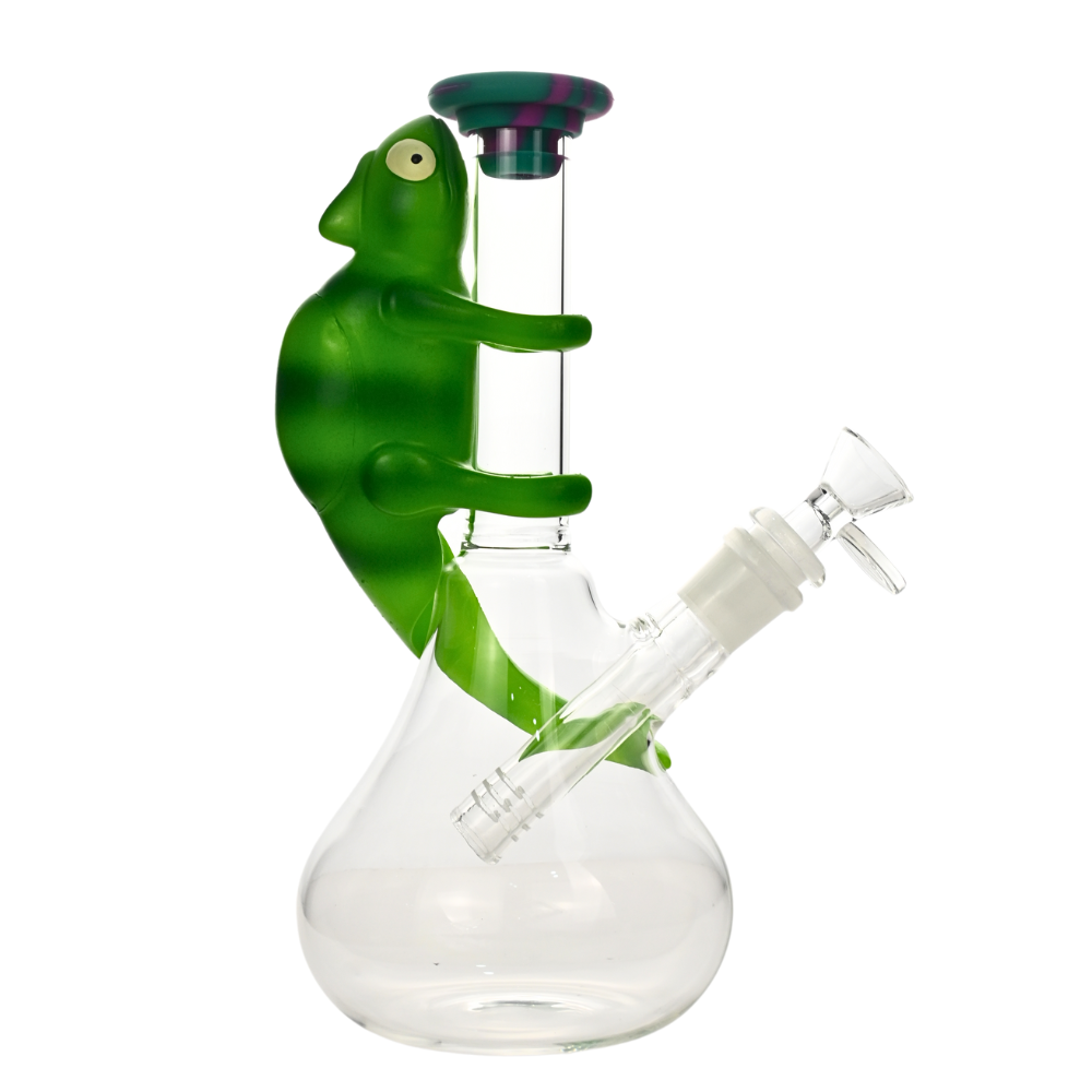 Caméléon Bong
